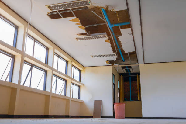 Best Water damage cleanup near me  in Frostproof, FL