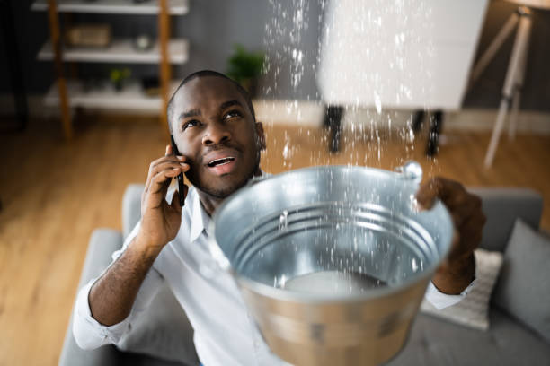 Trusted Frostproof, FL Water damage restoration Experts