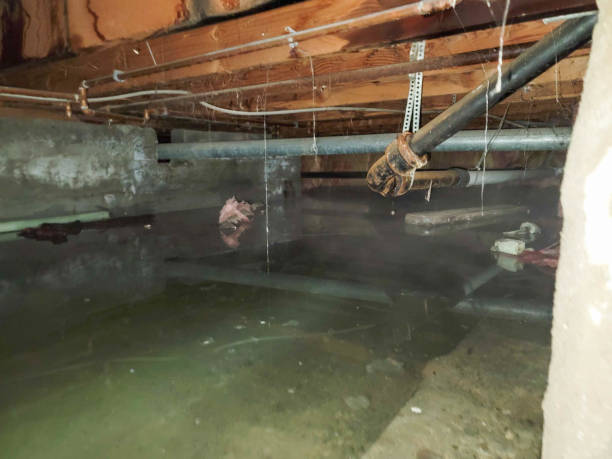 Water damage restoration insurance claims in Frostproof, FL