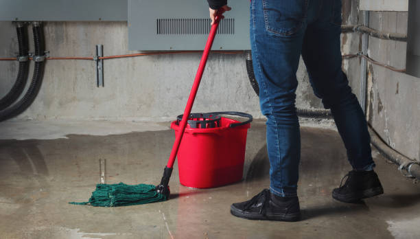 Reliable Frostproof, FL Water damage restoration Solutions