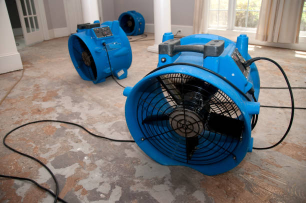  Frostproof, FL Water damage restoration Pros