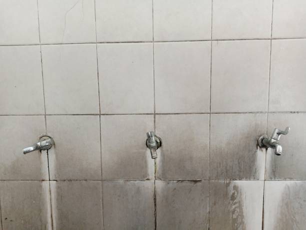 Best Commercial water damage restoration  in Frostproof, FL