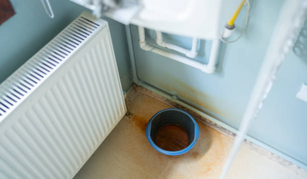 Best Water damage restoration near me  in Frostproof, FL