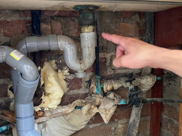 Best Water damage restoration company  in Frostproof, FL