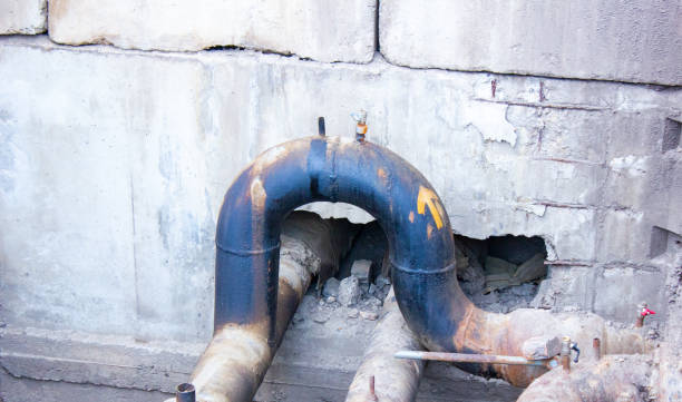 Best Mold removal after water damage  in Frostproof, FL